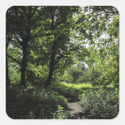 Lente in de Bossen 03 Vierkante Sticker (Voorkant)