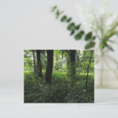 Lente in de Bossen 04 Briefkaart (Staand voorkant)