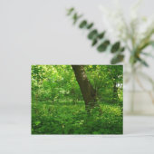 Lente in de Bossen Briefkaart (Staand voorkant)