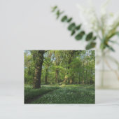 Lente in de Bossen, Bute Park, Cardiff Briefkaart (Staand voorkant)