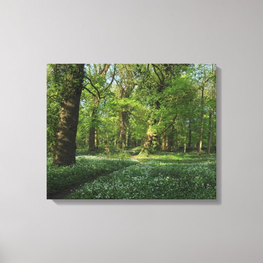 Lente in de Bossen, Bute Park, Cardiff Canvas Afdruk (Voorkant)