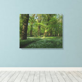 Lente in de Bossen, Bute Park, Cardiff Canvas Afdruk (Insitu (Houten vloer))