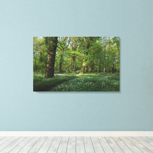 Lente in de Bossen, Bute Park, Cardiff Canvas Afdruk (Insitu (Houten vloer))