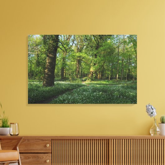 Lente in de Bossen, Bute Park, Cardiff Canvas Afdruk (Insitu (Woonkamer))