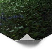 Lente in de Bossen, Bute Park, Cardiff Poster (Hoek)