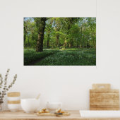 Lente in de Bossen, Bute Park, Cardiff Poster (Keuken)