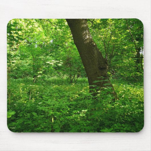 Lente in de Bossen Muismat (Voorkant)