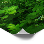 Lente in de Bossen Poster (Hoek)