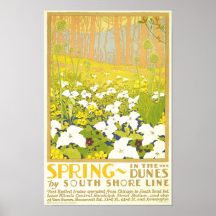 Lente in de Duinen Poster