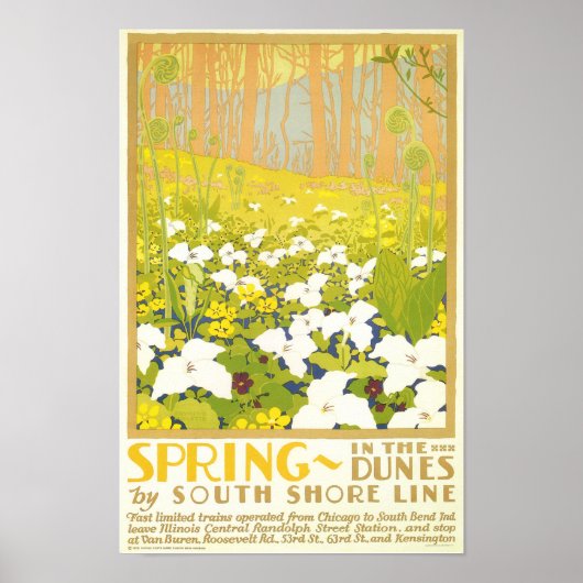 Lente in de Duinen Poster (Voorkant)