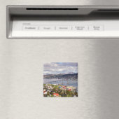Lente in de noordelijke magneet (Insitu (Vaatwasser))