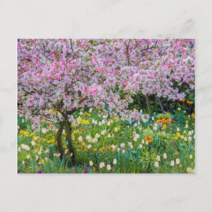 Lente in de tuin van Claude Monet Briefkaart