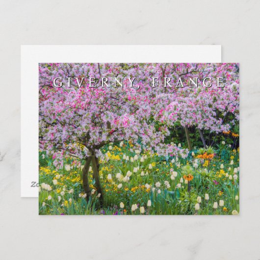 Lente in de tuin van Claude Monet | Dank u Briefkaart (Voorkant / Achterkant)