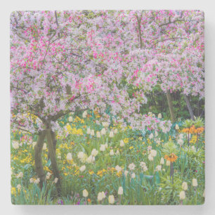 Lente in de tuin van Claude Monet Stenen Onderzetter