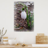 Lente in februari poster (Keuken)