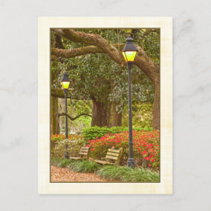 Lente in Forsyth Park - Savannah, GA Briefkaart