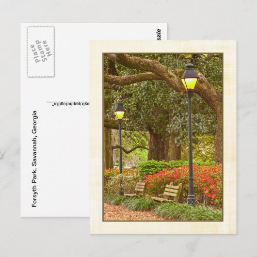 Lente in Forsyth Park - Savannah, GA Briefkaart (Voorkant / Achterkant)