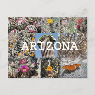 Lente in het Arizona-Briefkaart Briefkaart