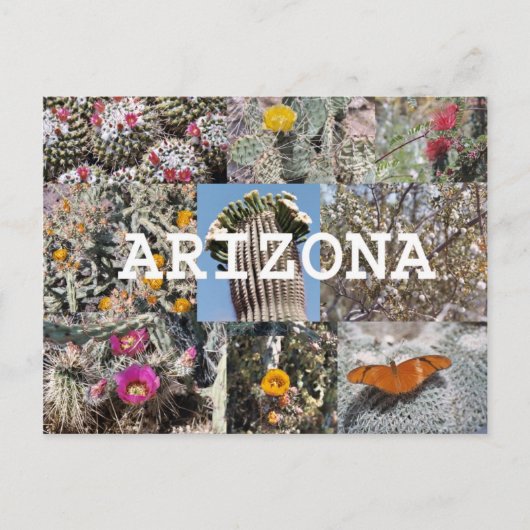 Lente in het Arizona-Briefkaart Briefkaart (Voorkant)
