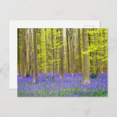 Lente in het blauw bos briefkaart (Voorkant / Achterkant)