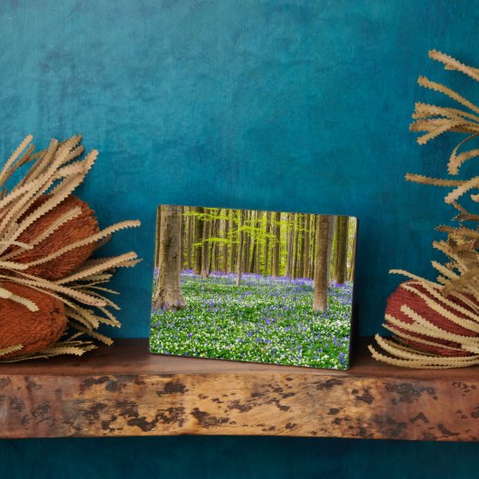 Lente in het blauw bos fotoplaat (Zijkant)