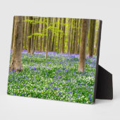 Lente in het blauw bos fotoplaat (Zijkant)