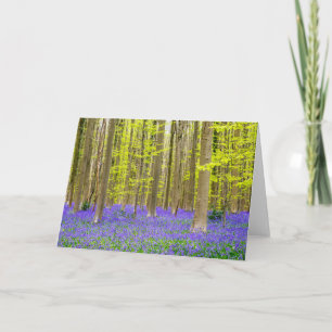 Lente in het blauw bos kaart
