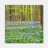 Lente in het blauw bos magneet (Voorkant)