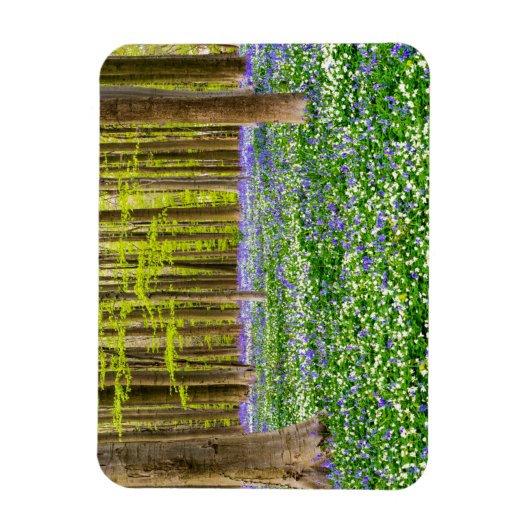 Lente in het blauw bos magneet (Verticaal)