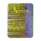 Lente in het blauw bos magneet (Verticaal)