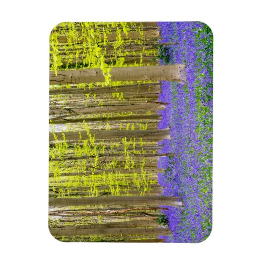 Lente in het blauw bos magneet (Verticaal)