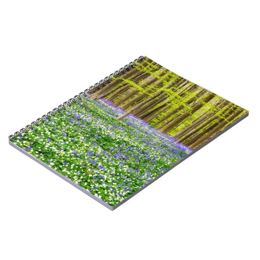 Lente in het blauw bos notitieboek (Linkerzijde)