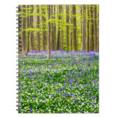 Lente in het blauw bos notitieboek (Voorkant)