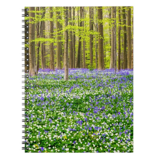 Lente in het blauw bos notitieboek (Voorkant)
