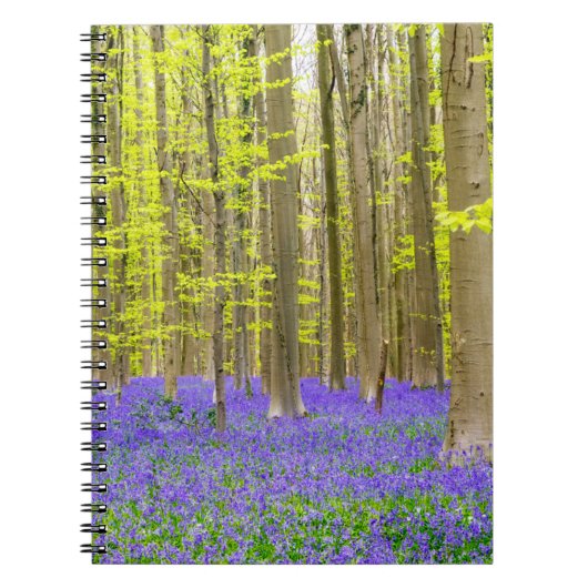 Lente in het blauw bos notitieboek (Voorkant)