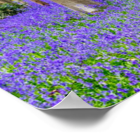 Lente in het blauw bos poster (Hoek)