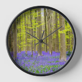 Lente in het Blauwe Woud (Voorkant)
