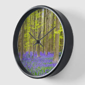 Lente in het Blauwe Woud (Hoek)