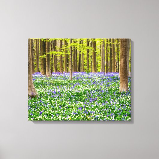 Lente in het Blauwe Woud Canvas Afdruk (Voorkant)