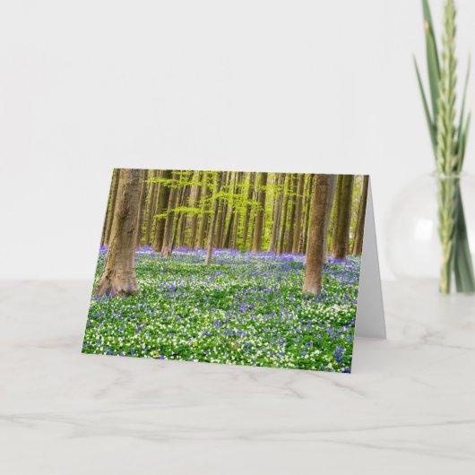 Lente in het Blauwe Woud Kaart (Voorkant)