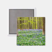 Lente in het Blauwe Woud Magneet (Voorkant / Achterkant)