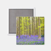 Lente in het Blauwe Woud Magneet (Voorkant / Achterkant)