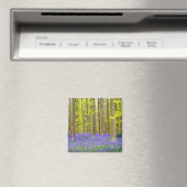 Lente in het Blauwe Woud Magneet (Insitu (Vaatwasser))