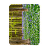 Lente in het Blauwe Woud Magneet (Verticaal)