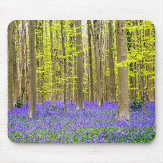 Lente in het Blauwe Woud Muismat (Voorkant)