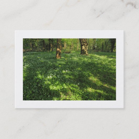 Lente in het bos (omzoomd) visitekaartje (Voorkant)