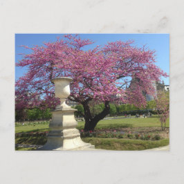 Lente in het Briefkaart van Parijs
