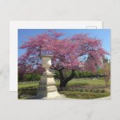 Lente in het Briefkaart van Parijs (Voorkant / Achterkant)
