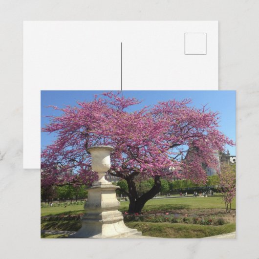 Lente in het Briefkaart van Parijs (Voorkant / Achterkant)