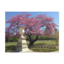 Lente in het Briefkaart van Parijs